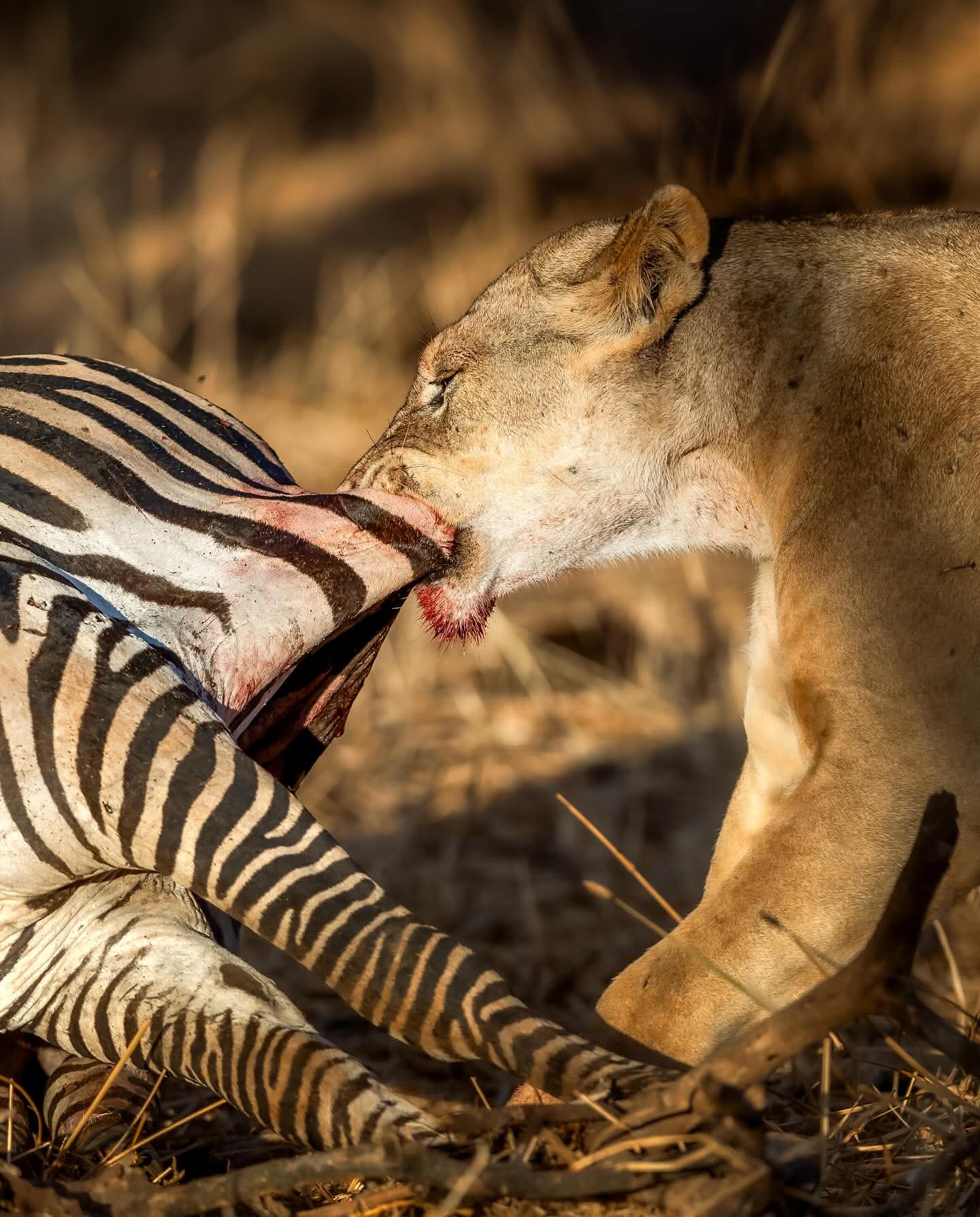 Serengeti National Park