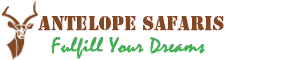 Antelope Safaris