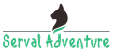 Serval Adventure