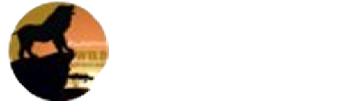 Awesome Wild Adventures