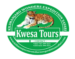 Kwesa Tours