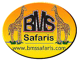 BMS SAFARIS LTD
