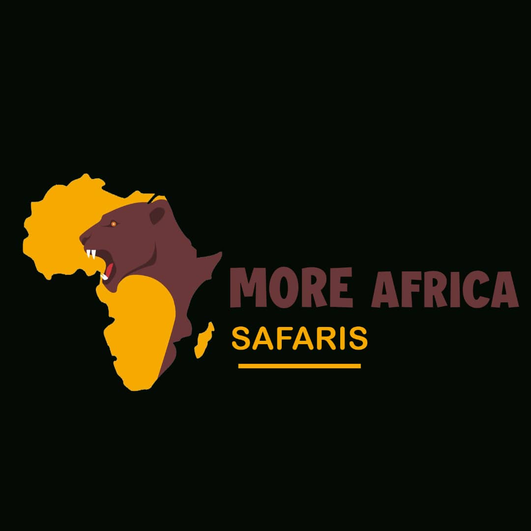 More Africa Safaris